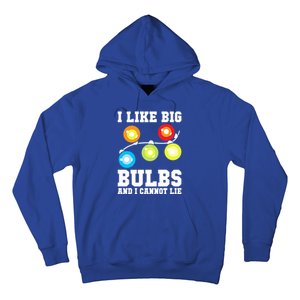 I Like Big Bulbs And I Cannot Lie Naughty Christmas Lights Gift Hoodie