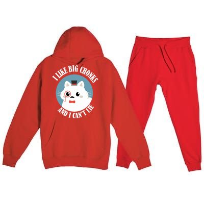 I Like Big Chonks And I CanT Lie Funny Cat Lover Owner Funny Gift Premium Hooded Sweatsuit Set