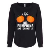 I Like Big Pumpkins And I Cannot Lie Womens California Wash Sweatshirt