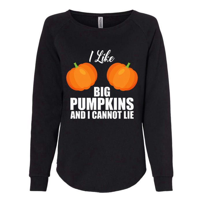 I Like Big Pumpkins And I Cannot Lie Womens California Wash Sweatshirt