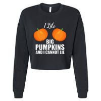 I Like Big Pumpkins And I Cannot Lie Cropped Pullover Crew