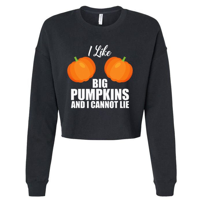 I Like Big Pumpkins And I Cannot Lie Cropped Pullover Crew