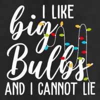 I Like Big Bulbs And I Cannot Lie Funny Christmas 7 Panel Mesh Trucker Snapback Hat