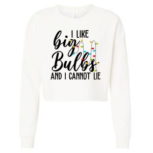 I Like Big Bulbs And I Cannot Lie Funny Christmas Cropped Pullover Crew