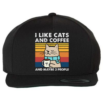 I Like Cats And Coffee And Maybe 3 People Funny Love Cats Wool Snapback Cap