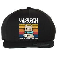 I Like Cats And Coffee And Maybe 3 People Wool Snapback Cap