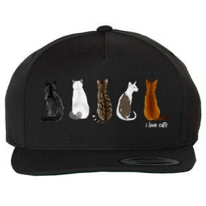 I Love Cats For Cat Lovers Gift Wool Snapback Cap