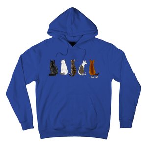 I Love Cats For Cat Lovers Gift Hoodie