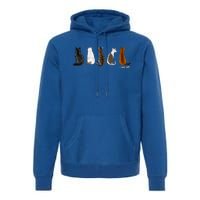 I Love Cats For Cat Lovers Gift Premium Hoodie