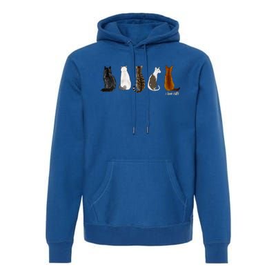 I Love Cats For Cat Lovers Cute Gift Premium Hoodie