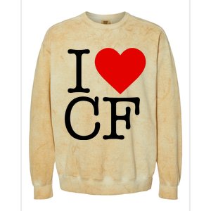 I Love Charlotte Folk Colorblast Crewneck Sweatshirt