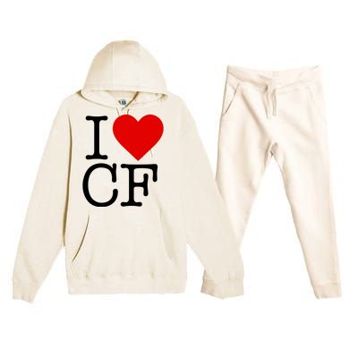 I Love Charlotte Folk Premium Hooded Sweatsuit Set