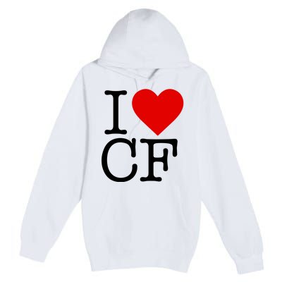 I Love Charlotte Folk Premium Pullover Hoodie