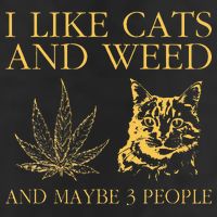 I Like Cats And Weed And Maybe 3 People Cool Comfort Performance Bucket Hat