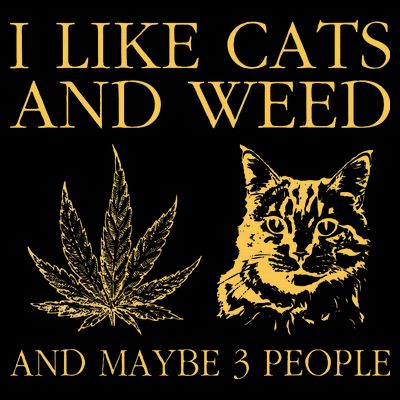 I Like Cats And Weed And Maybe 3 People T-Shirt