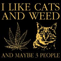 I Like Cats And Weed And Maybe 3 People Poster