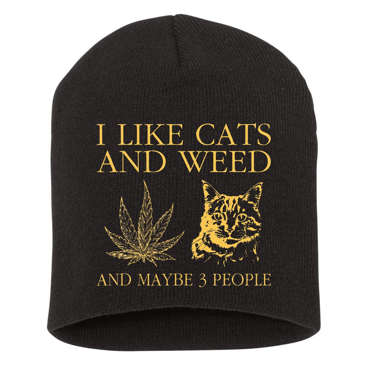 I Like Cats And Weed And Maybe 3 People Short Acrylic Beanie