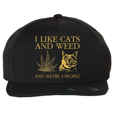 I Like Cats And Weed And Maybe 3 People Wool Snapback Cap
