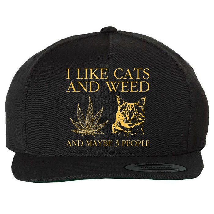 I Like Cats And Weed And Maybe 3 People Wool Snapback Cap