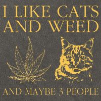 I Like Cats And Weed And Maybe 3 People Cotton Canvas Backpack