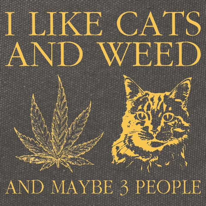 I Like Cats And Weed And Maybe 3 People Cotton Canvas Backpack