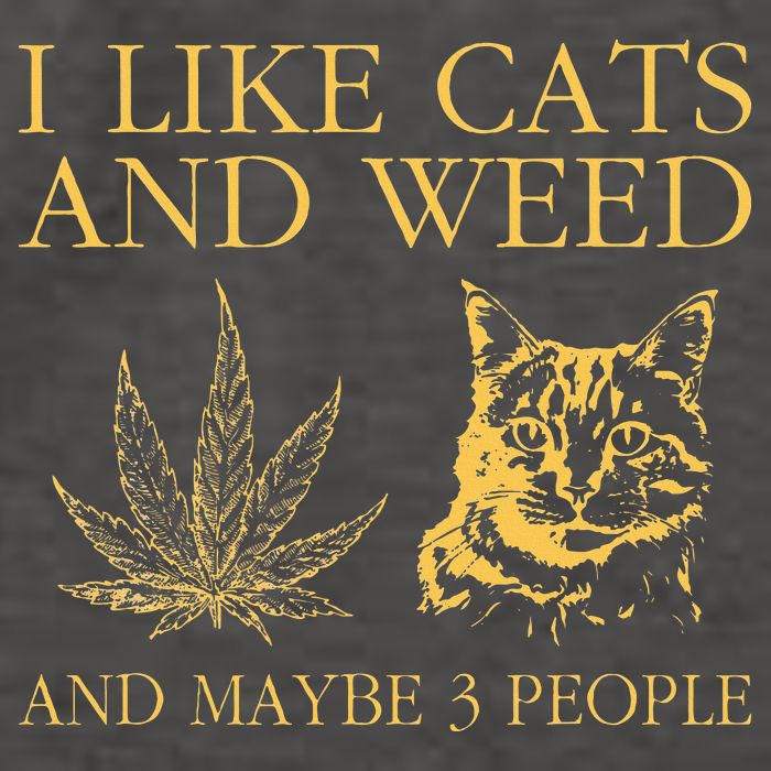 I Like Cats And Weed And Maybe 3 People Vector Backpack