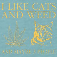 I Like Cats And Weed And Maybe 3 People Sueded Cloud Jersey T-Shirt