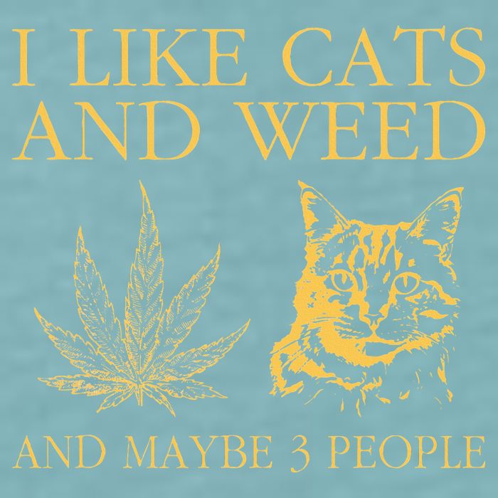 I Like Cats And Weed And Maybe 3 People Sueded Cloud Jersey T-Shirt