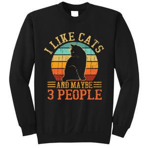 I Like Cats And Maybe 3 People Cat Funny Father's Day Sweatshirt