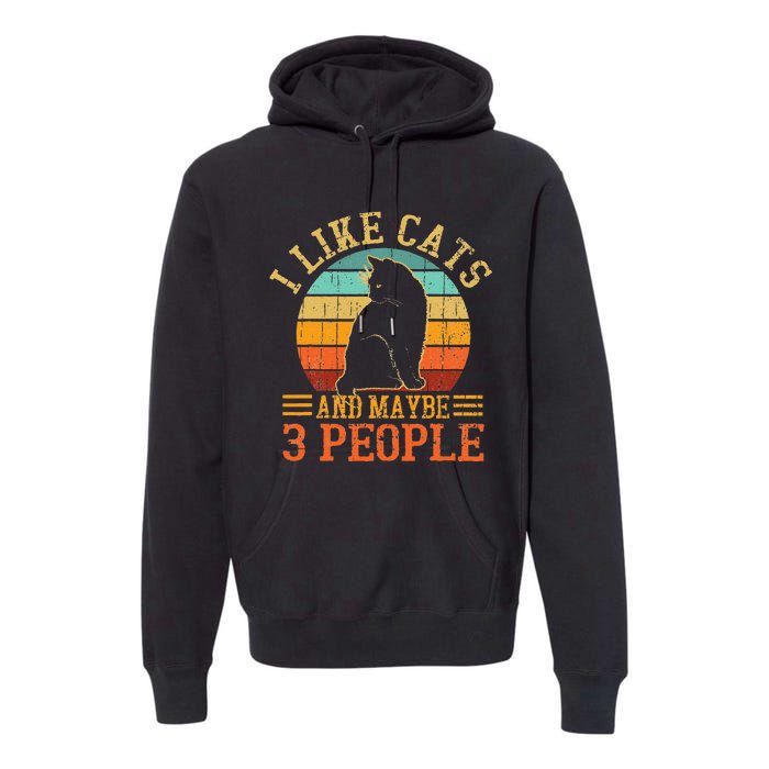 I Like Cats And Maybe 3 People Cat Funny Father's Day Premium Hoodie