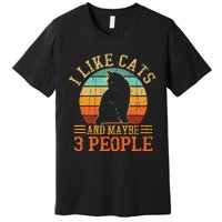 I Like Cats And Maybe 3 People Cat Funny Father's Day Premium T-Shirt