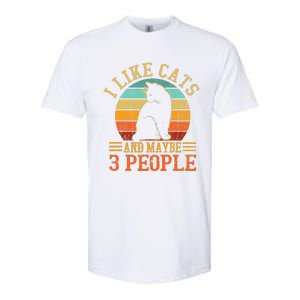 I Like Cats And Maybe 3 People Cat Funny Father's Day Softstyle CVC T-Shirt