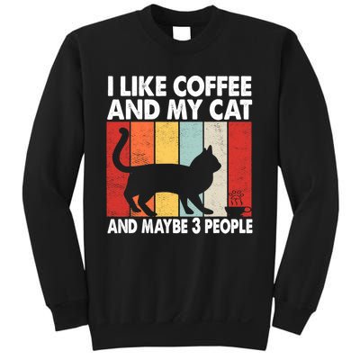 I Like Coffee And My Cat And Maybe 3 People Vintage Sweatshirt