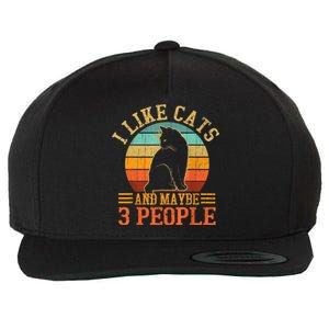 I Like Cats And Maybe 3 People Cat Lover, Cat Dad, Cat Mom Wool Snapback Cap