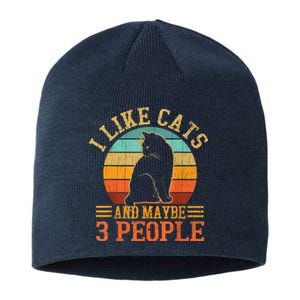 I Like Cats And Maybe 3 People Cat Lover, Cat Dad, Cat Mom Sustainable Beanie