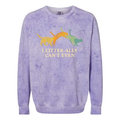 I Litterally Can't Even Cat Lover Funny Kitten Humor Colorblast Crewneck Sweatshirt