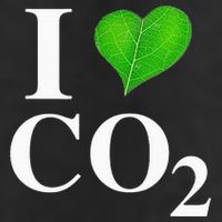 I Love Co2 Carbon Dioxide Climate Change Hoax Global Warming 7 Panel Mesh Trucker Snapback Hat