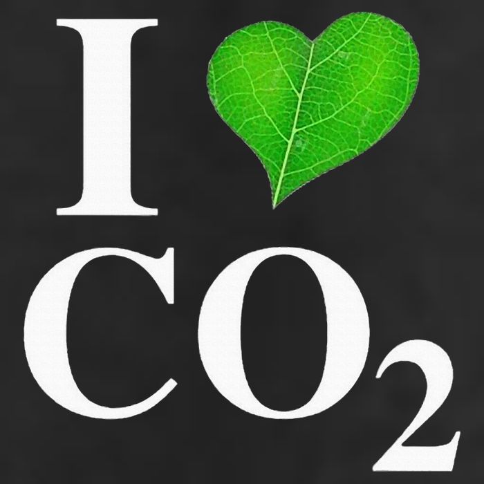 I Love Co2 Carbon Dioxide Climate Change Hoax Global Warming 7 Panel Mesh Trucker Snapback Hat