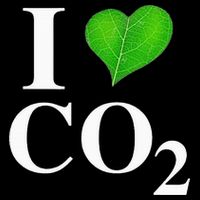 I Love Co2 Carbon Dioxide Climate Change Hoax Global Warming Cooling Performance Crew T-Shirt