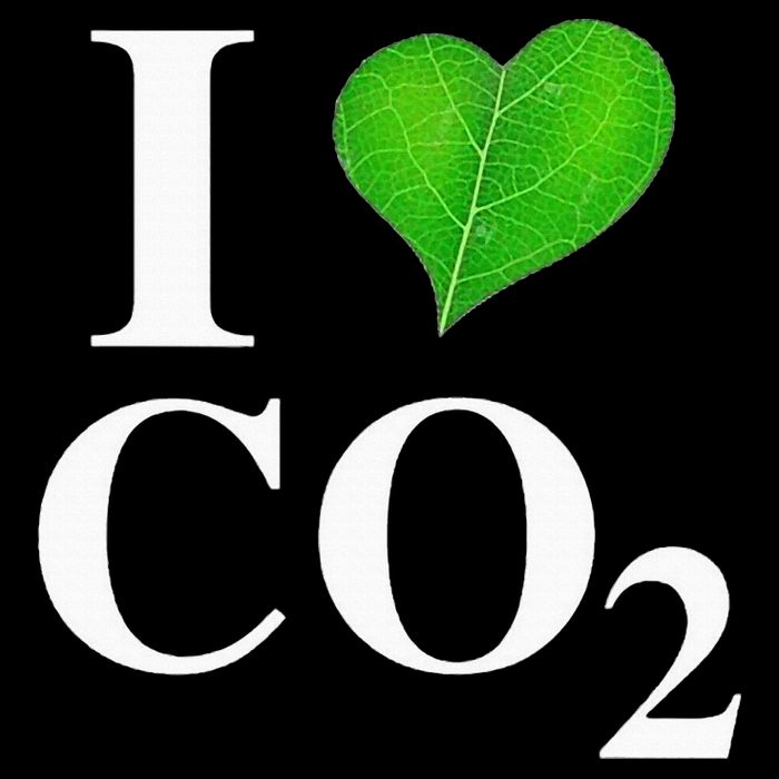 I Love Co2 Carbon Dioxide Climate Change Hoax Global Warming Cooling Performance Crew T-Shirt