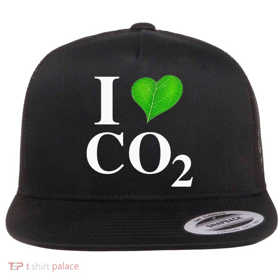 I Love Co2 Carbon Dioxide Climate Change Hoax Global Warming Flat Bill Trucker Hat