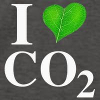I Love Co2 Carbon Dioxide Climate Change Hoax Global Warming Vector Backpack