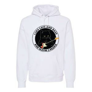 I Like Cats And Bass And Maybe 3 People Bass Guitar Player Premium Hoodie