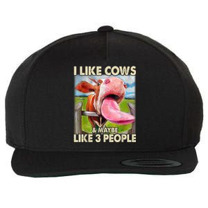 I Like Cows And Maybe Like 3 People Cow Lover Farmer Wool Snapback Cap