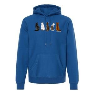 I Love Cats For Cat Lovers Cool Gift Premium Hoodie