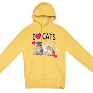 I Love Cats Gift Cat Lover Tee Gift I Love Kittens Gift Cool Gift Premium Pullover Hoodie