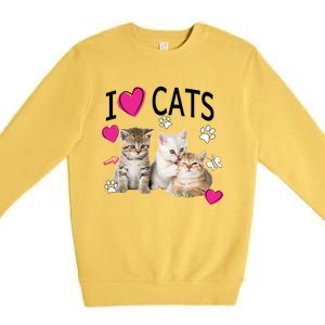 I Love Cats Gift Cat Lover Tee Gift I Love Kittens Gift Cool Gift Premium Crewneck Sweatshirt