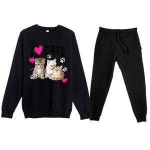 I Love Cats Gift Cat Lover Tee Gift I Love Kittens Gift Cool Gift Premium Crewneck Sweatsuit Set