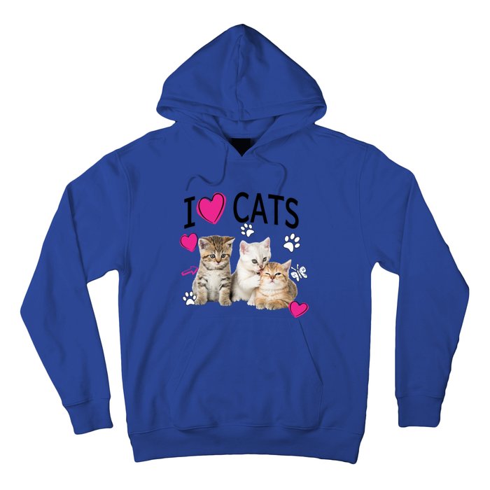 I Love Cats Gift Cat Lover Tee Gift I Love Kittens Gift Cool Gift Hoodie