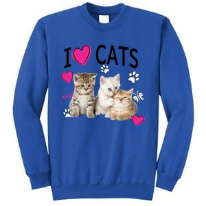 I Love Cats Gift Cat Lover Tee Gift I Love Kittens Gift Cool Gift Sweatshirt